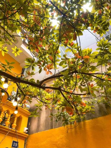 Chủ Nhật Cafe&Homestay Quán Thánh (cơ sở 3)