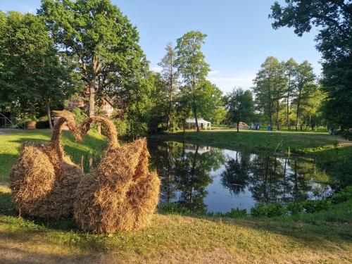 Okružje, Camper and tent place in Jelgava in Jelgava