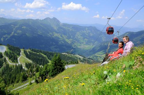 Bauernhofhotel "die Unterbergerin" - Zimmer mit Frühstück und Ferienwohnungen in Gastein mit GRATIS Thermeneintritt