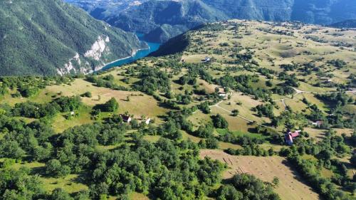 Apkārtne, Oaza Apartment Goransko Plužine (Oaza Apartment Goransko Pluzine) in Nedajno