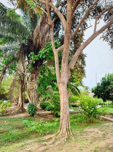 NEW beach villa w pool between Tayrona & Palomino