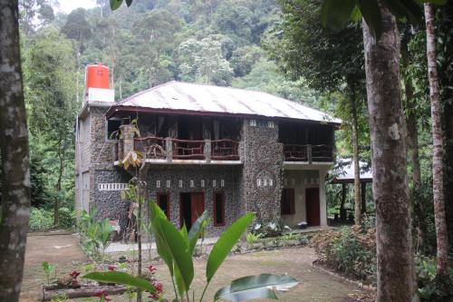 Rinte Green Village & Bukit Lawang Jungle Trekking, Bukit Lawang