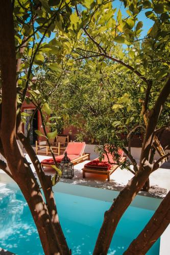 達爾農場旅館 La Ferme El Dar