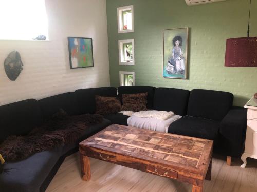 Hyggeligt gammelt hus i Ry in Ry