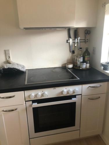 Hyggeligt gammelt hus i Ry in Ry