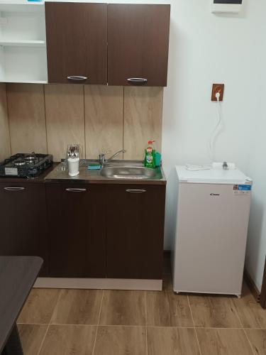 virtuve, Panoramic House in Coronini