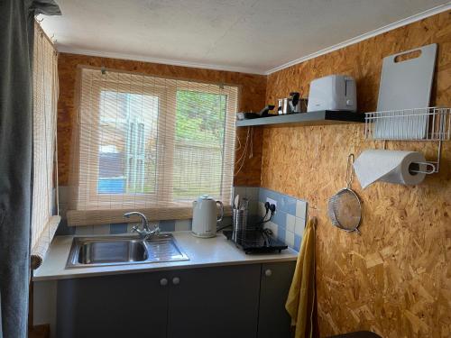 Wild Boar Cabin in Ruspidge
