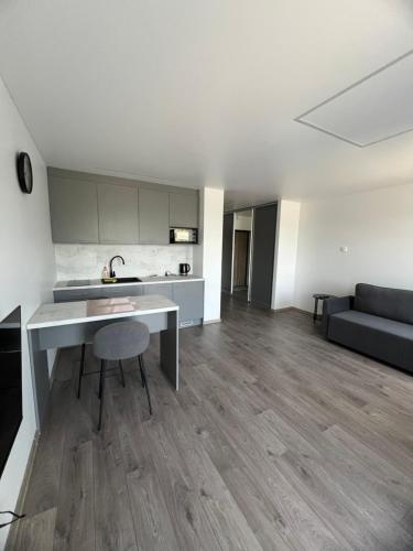 Spacious, cozy place in Vilnius, Vilnius