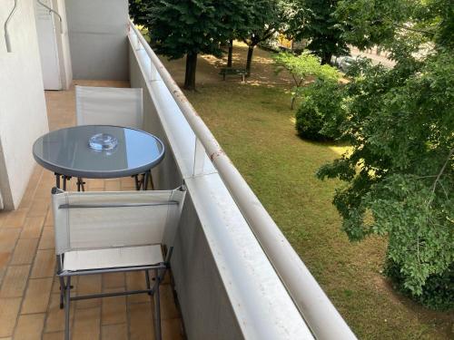 Garden, Spacieux, lumineux et bien place pour 6Personnes, parking interieur near AviaSim Lyon