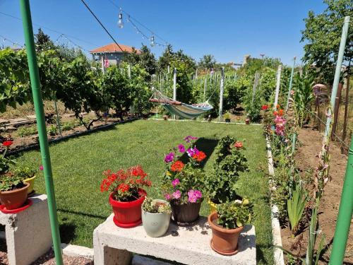 Casa Simona Casa Simona