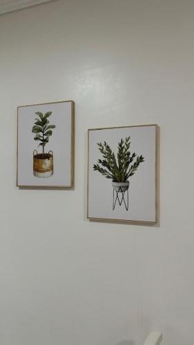 Apartment - Ground Floor image 6
