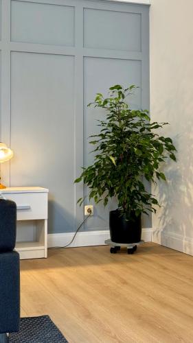 設施, Smiles Homes Appartement 52m2 im Hotel Mauritius - Privatparkplatz kostenfrei, Fruhstuck buchbar, di in 克里米喬