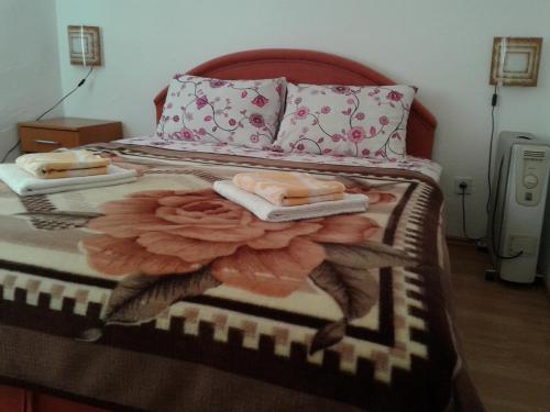 Apartmani Sobe Sljivancanin - image 7