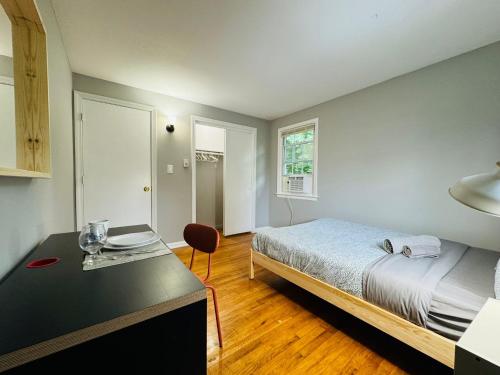 Sunny Room in shared apartment in Bristol, USA