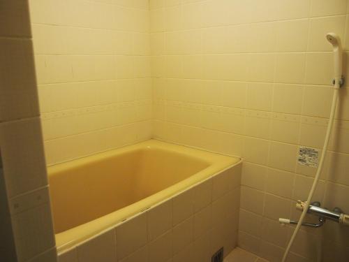 Japanese-Style Room