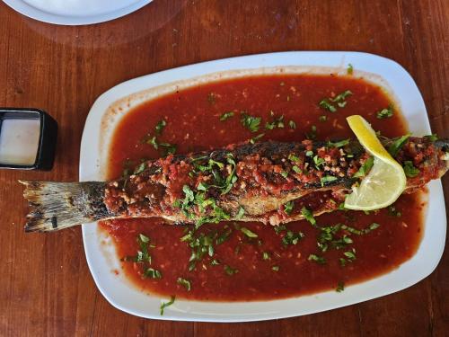 Casa OZZY&PATTY Casa OZZY&PATTY