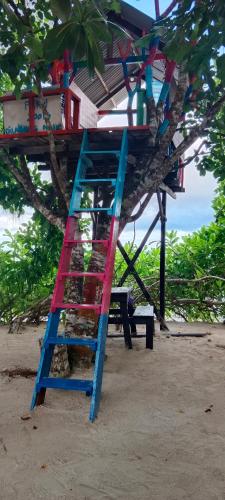 Saleo Pesona Satu in Raja Ampat