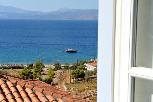 Hydra Erato in Vlichos (Attiki)