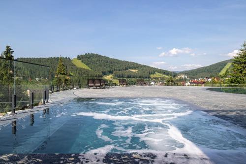 Hotel Podgorie Spa - image 9