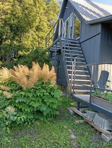 Tampilan eksterior, Ezerkalnunams in Talsi