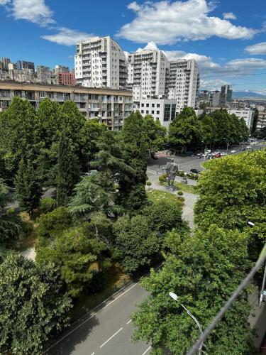 apartment on vaja-pshavela, Tbilisi (zdjęcie 8)