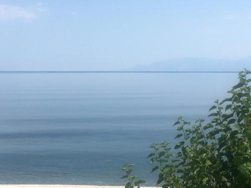 Sea Sound in 파랄리아 톨로포노스