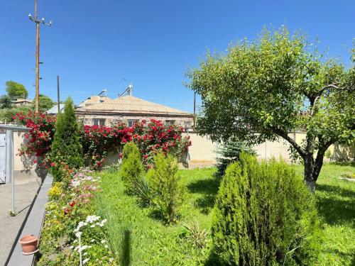 Chkalovka Guest House With Sevan View