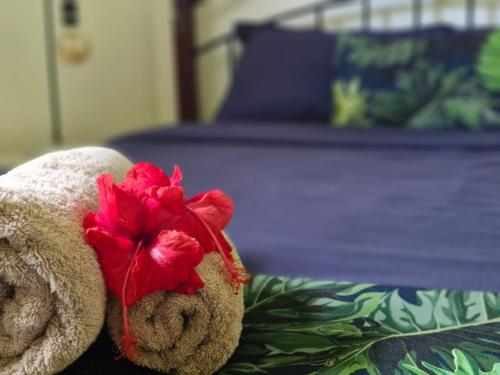 Residence71Nadi Fiji, Nadi (foto 5)