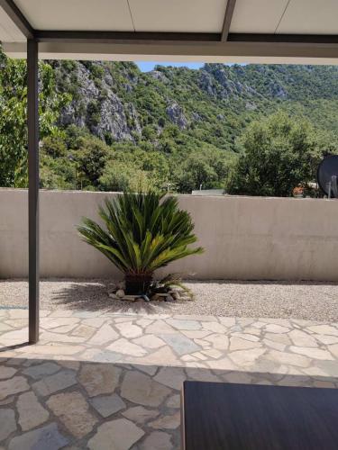 Apartmani Grozdanic Canj in Canj