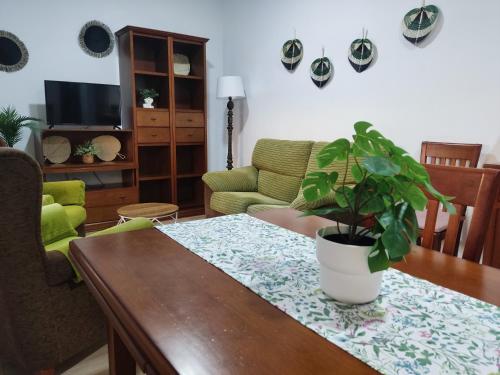 Apartamento Turístico Córdoba Centro Jardín, Córdoba (fotografie 11)