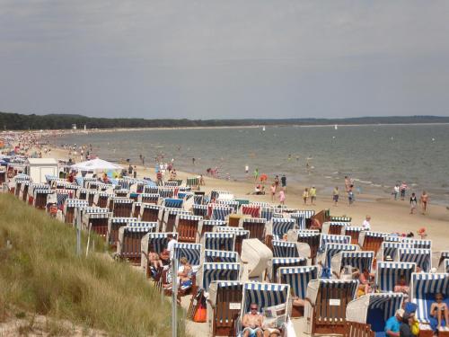 Beach, Ferienwohnung Granitzblick 3 mit Wintergarten und Seeblick in Altensien