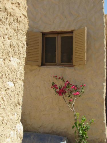 Vue extérieure, Lotus House in Siwa