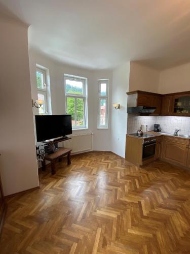 dapur, Cervo d'oro Appartement in Semmering