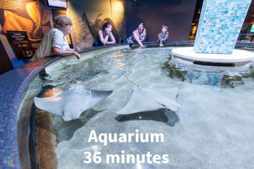 Lanai Heated Pool and Game Room Lanai Heated Pool and Game Room