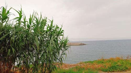 LA TERRAZZA SUL MARE camera fronte mare&vicino aereoporto SICILIAN VINTAGE STYLE SEASIDE ROOM LA TERRAZZA SUL MARE camera fronte mare&vicino aereoporto SICILIAN VINTAGE STYLE SEASIDE ROOM