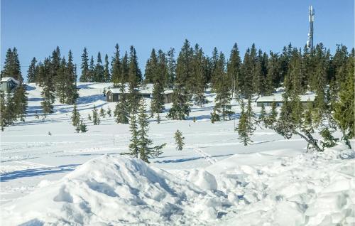 Kilátás, Beautiful Home In Sjusjoen in Sjusjoen