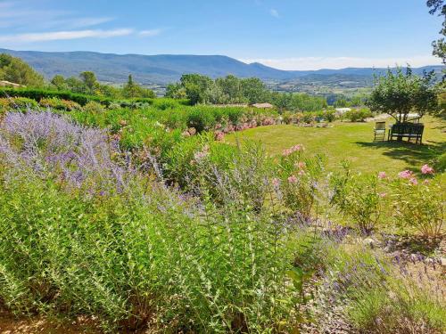 Kert, Les Cerises in Saint-Saturnin-les-Apt