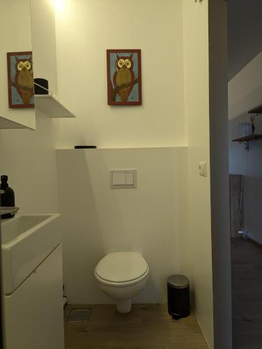 Small cabin in the countryside, Selfoss (zdjęcie 2)