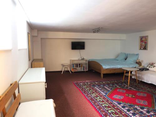 AirB33 Apartment Munich privat with little terrace, München (Foto 2)