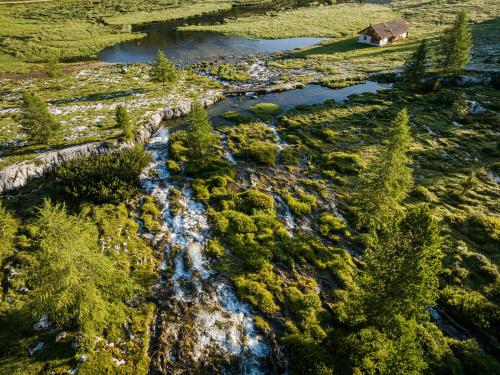 Foto - Hotel Elisabeth