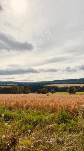 Ferienwohnung an der Wildenburg in Kempfeld