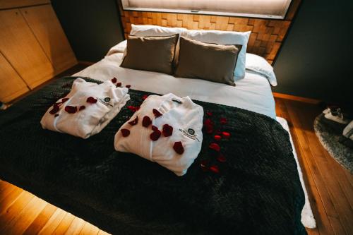 La maison d Aurore loft et spa privatif gîte à louer Pesche