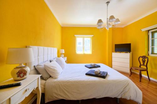 Beach & Nature Villa with Amazing Pool by TimeCooler, Setúbal (foto 6)