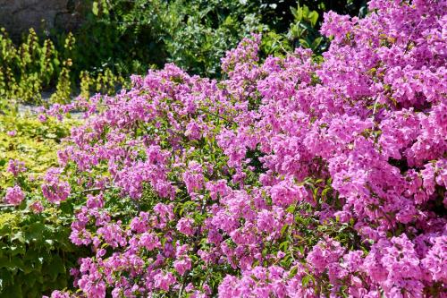 Beach & Nature Villa with Amazing Pool by TimeCooler