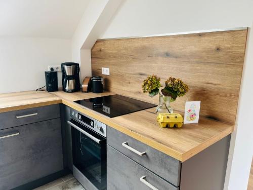 Gutshof von Gemünden Ferienwohnung 1 Gutshof von Gemünden Ferienwohnung 1