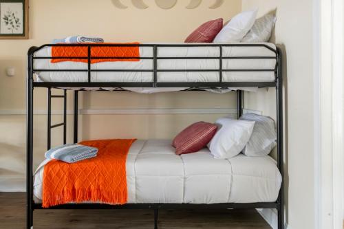 Cozy Apartment at Washington DC! Sun Filled & Comfortable! in Washington, USA