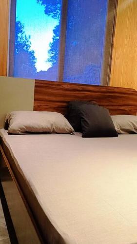 Cabin in Woods - image 6