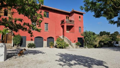 Tenuta degli Ulivi - Dimora Contadina gîte à louer Montecorvino Rovella