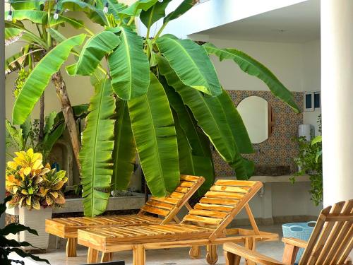 Swimming pool, Charme 64 Hotel Boutique in Marbella