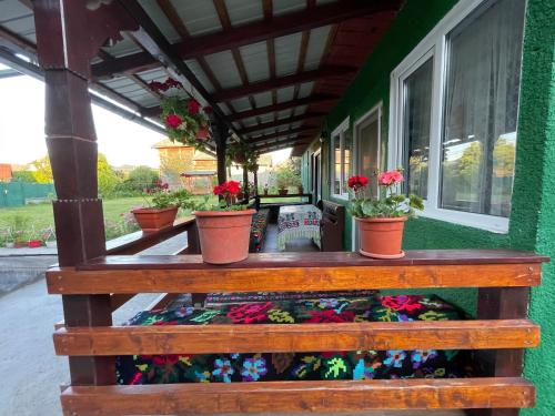 Casa familiala de vacanta in Ieud